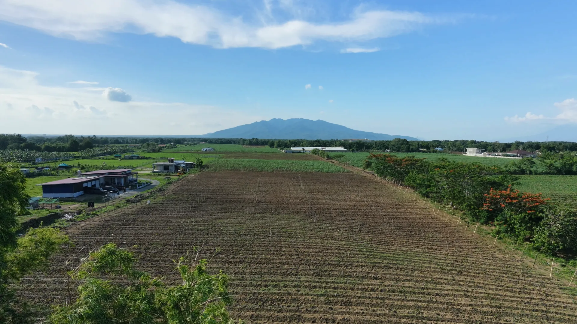 Ube farm fields and Taal Volcano in Batangas