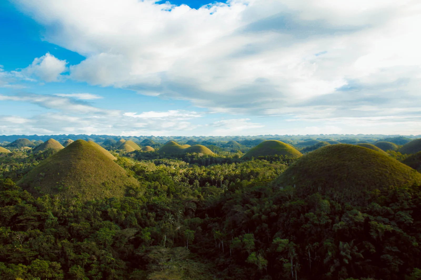 The Chocolate Hills of Bohol, the heart of Philippine ube production