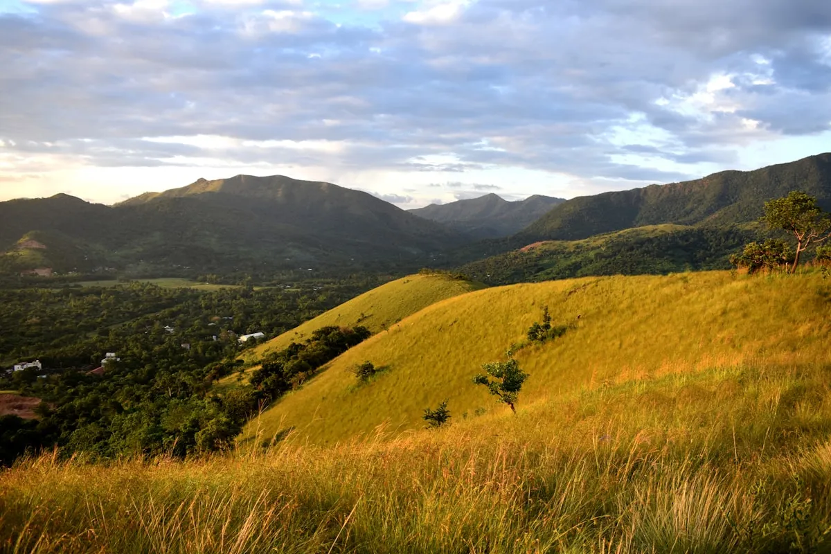 Lush Philippine mountain landscape where ube has been cultivated for centuries